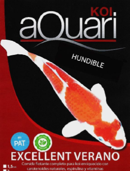 Captura de pantalla 2025-11-21 220309 verano hundible