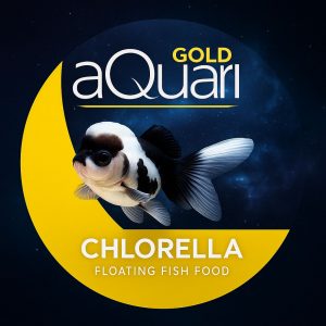 WhatsApp Image 2025-11-23 at 20.53.14 gold chrolella