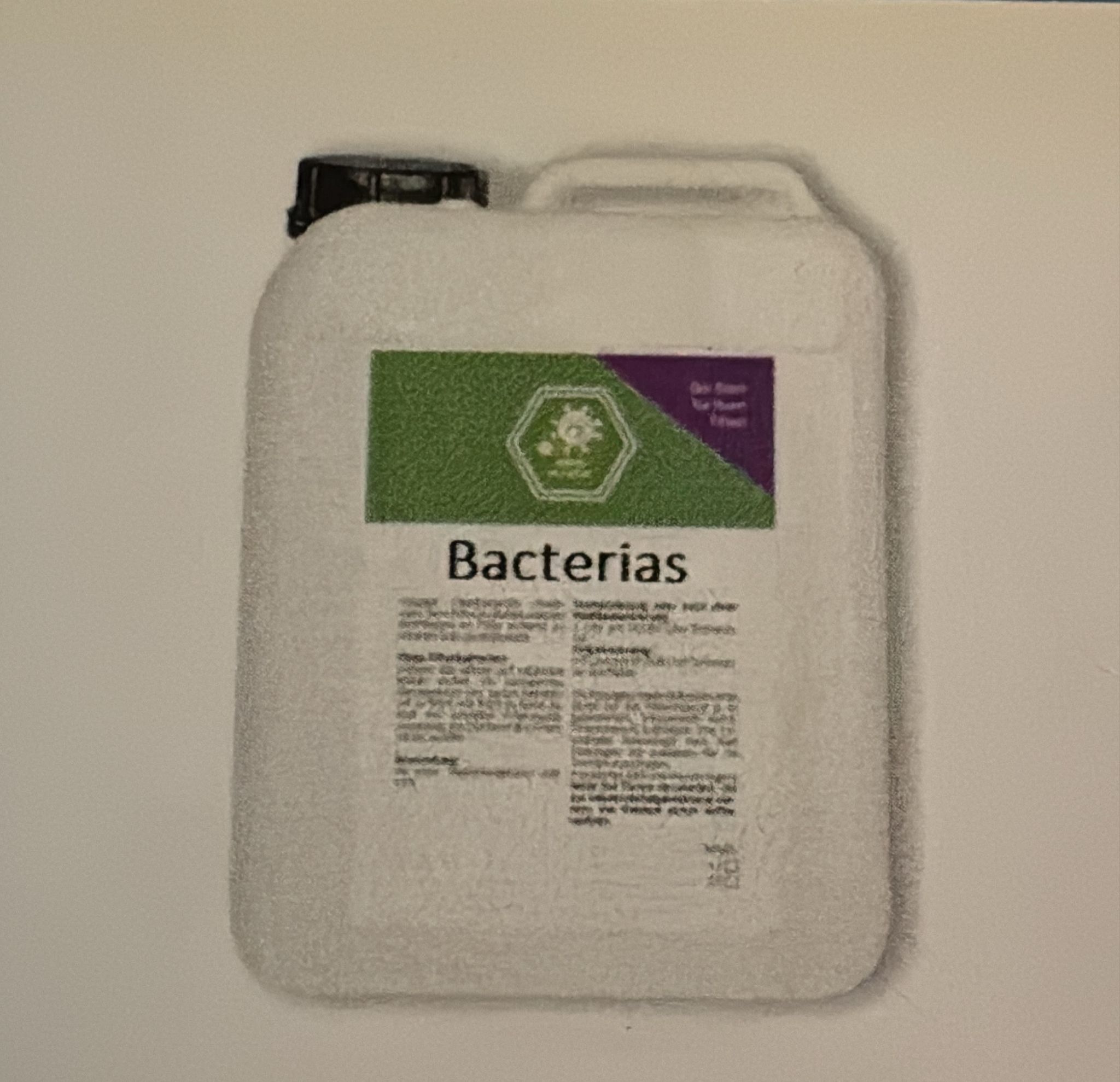 Bacterias
