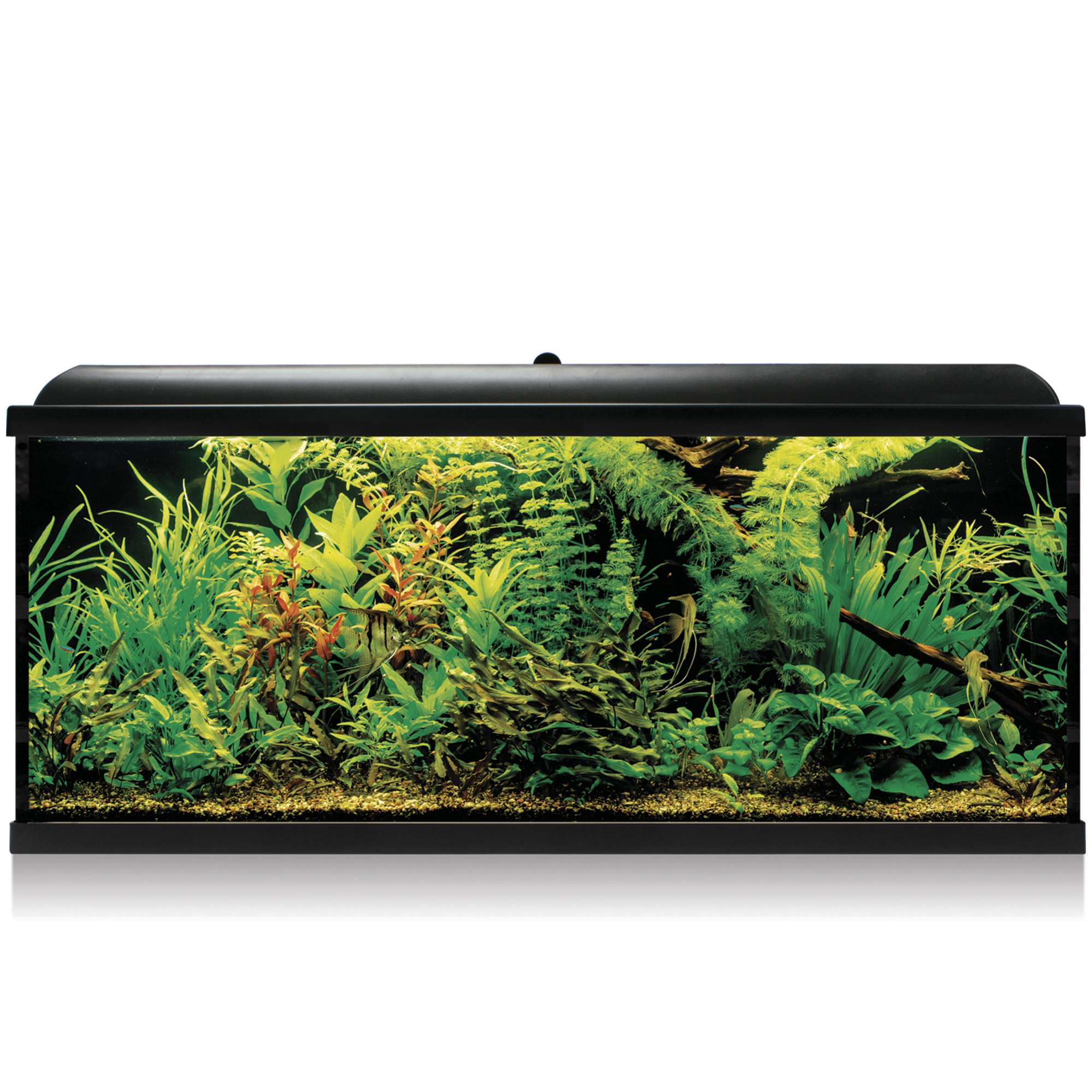 Kit AQUA LED PRO 240L con filtro exterior | Blanco/Negro