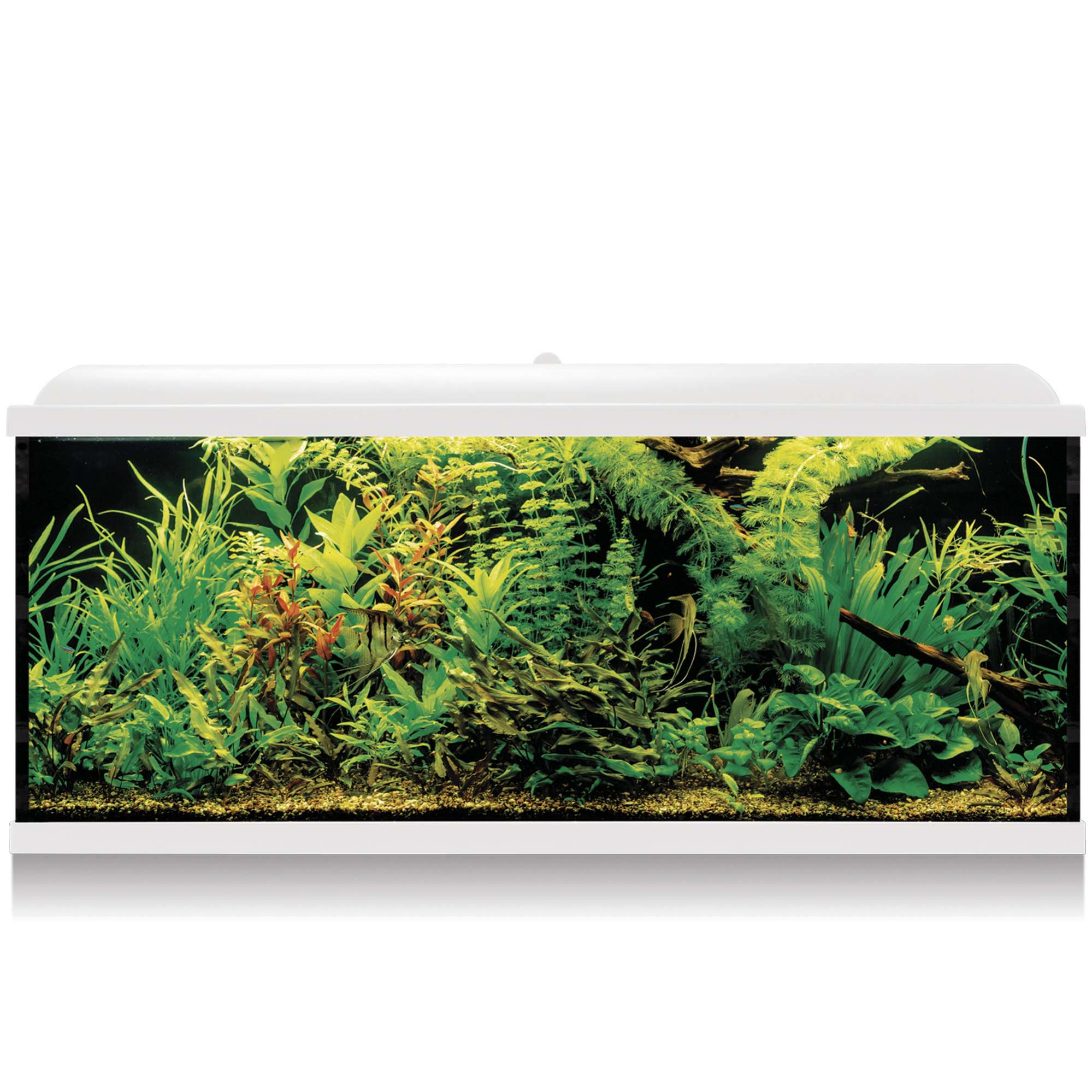 Kit AQUA LED PRO 240L con filtro exterior | Blanco/Negro