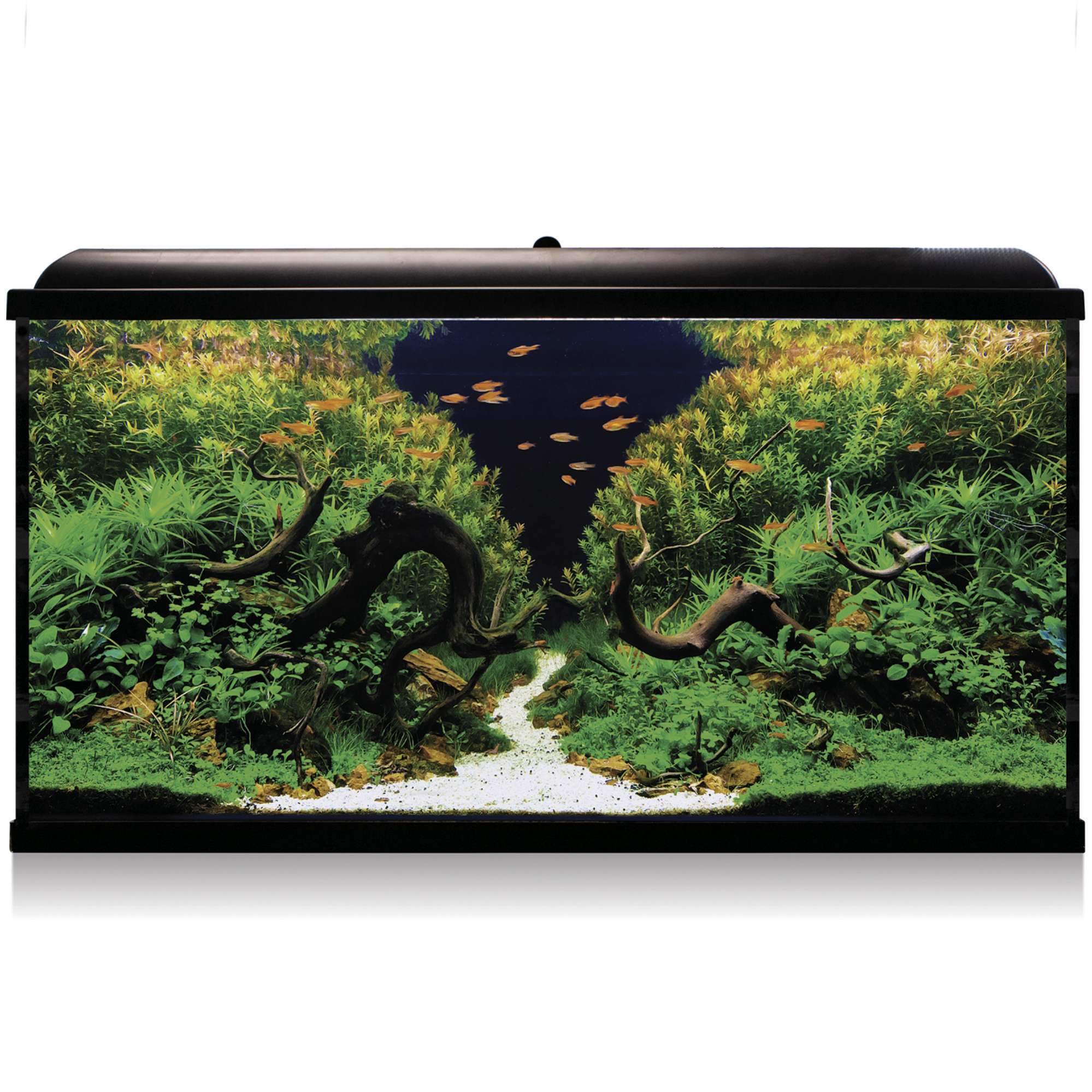 Kit AQUA LED PRO 300L con filtro exterior | Blanco/Negro