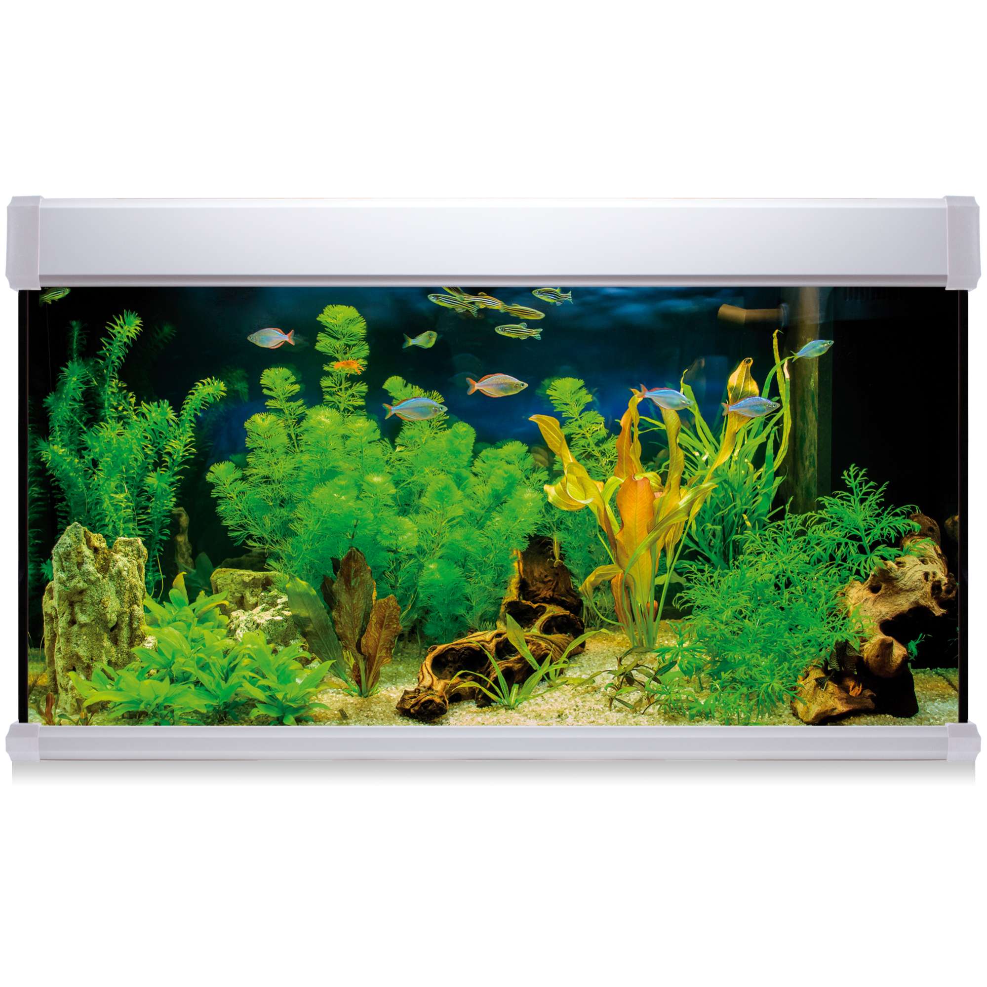 Kit AQUA LUX PRO 300L con filtro exterior | Blanco/Negro