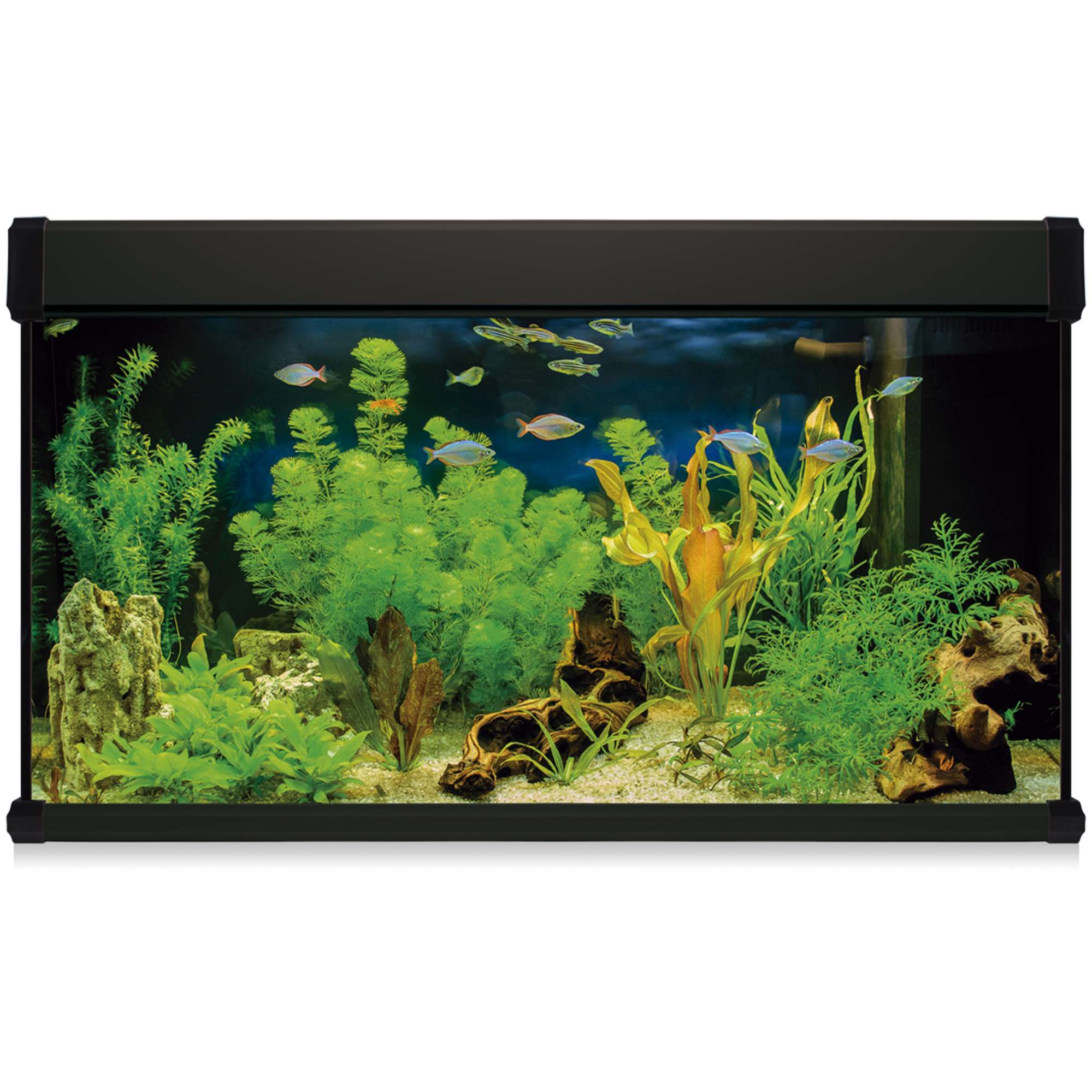 Kit AQUA LUX PRO 300L con filtro exterior | Blanco/Negro