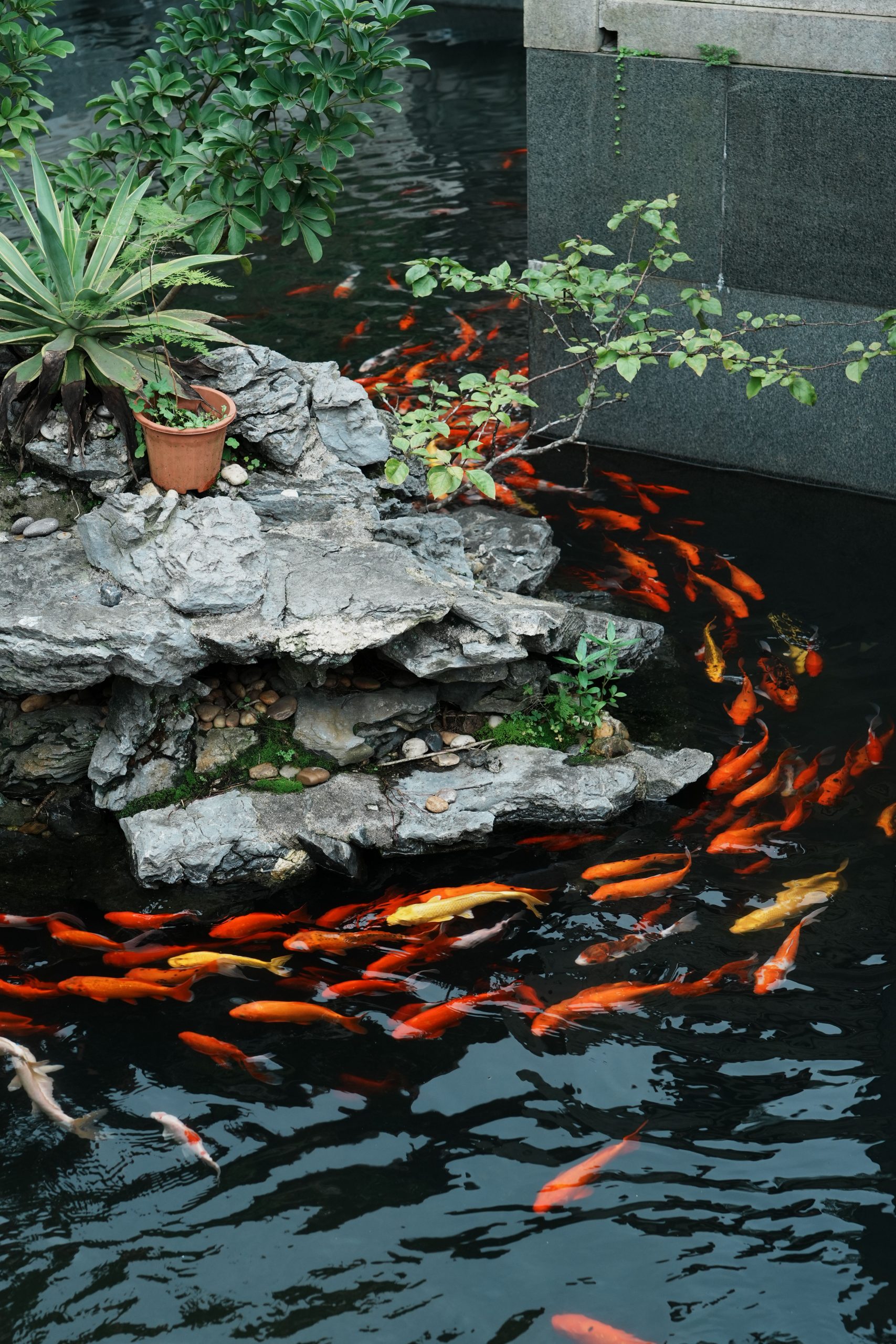 Cuidados del agua