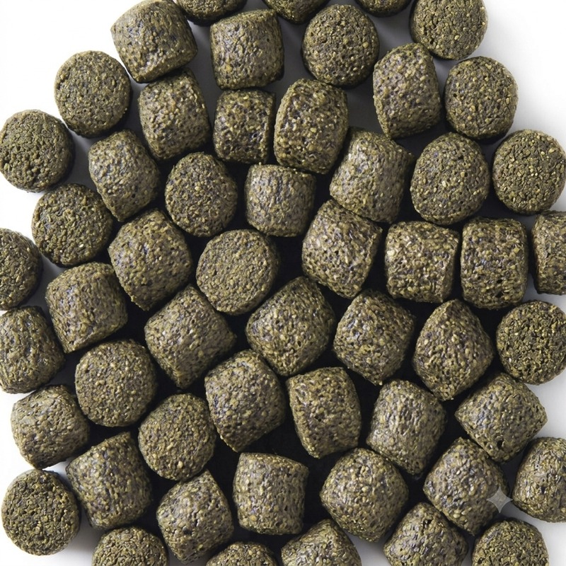 Kinsei Spirulina pienso koi color pigmentante