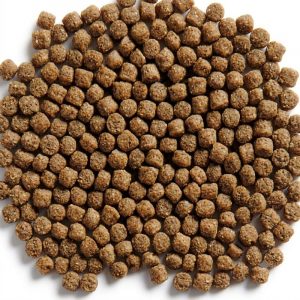 Kinsei Wheatgerm germen de trigo pienso invierno koi